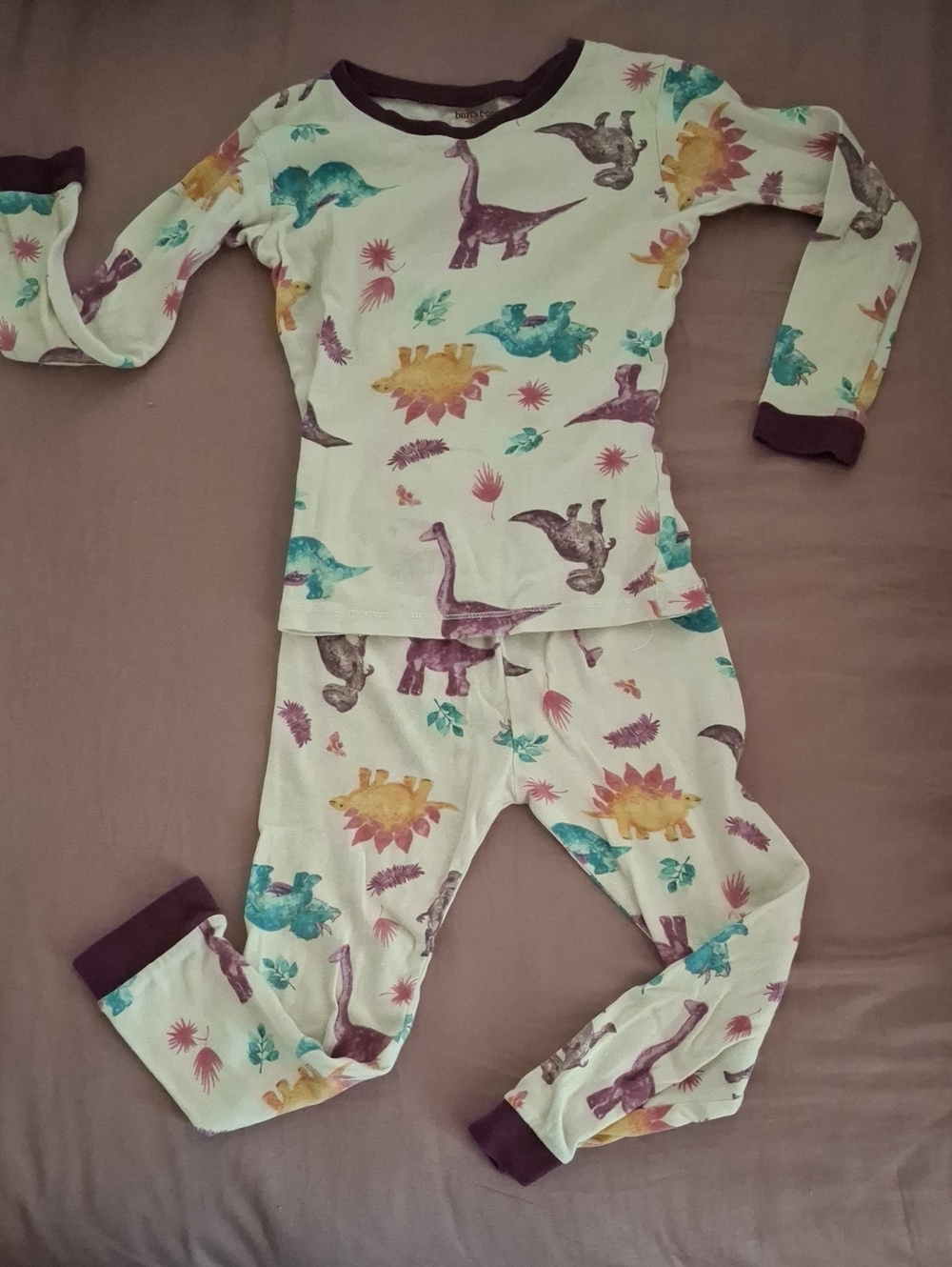 🌟 Burt's Bees Cream Kids Pajama Set with Teal Purple Yellow Dinosaur Print 🌟